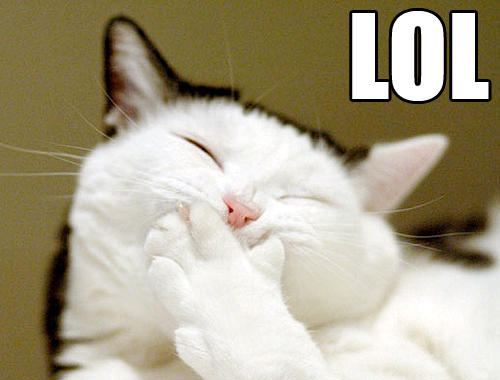 cat LOL